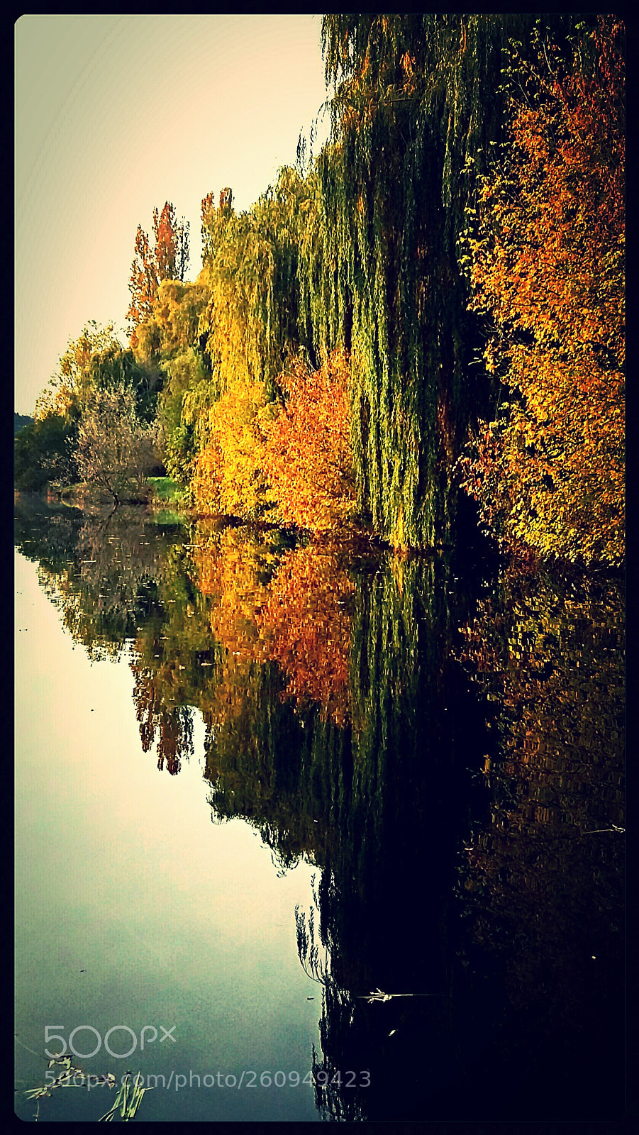 Samsung Galaxy A5 sample photo. Autumn reflections photography
