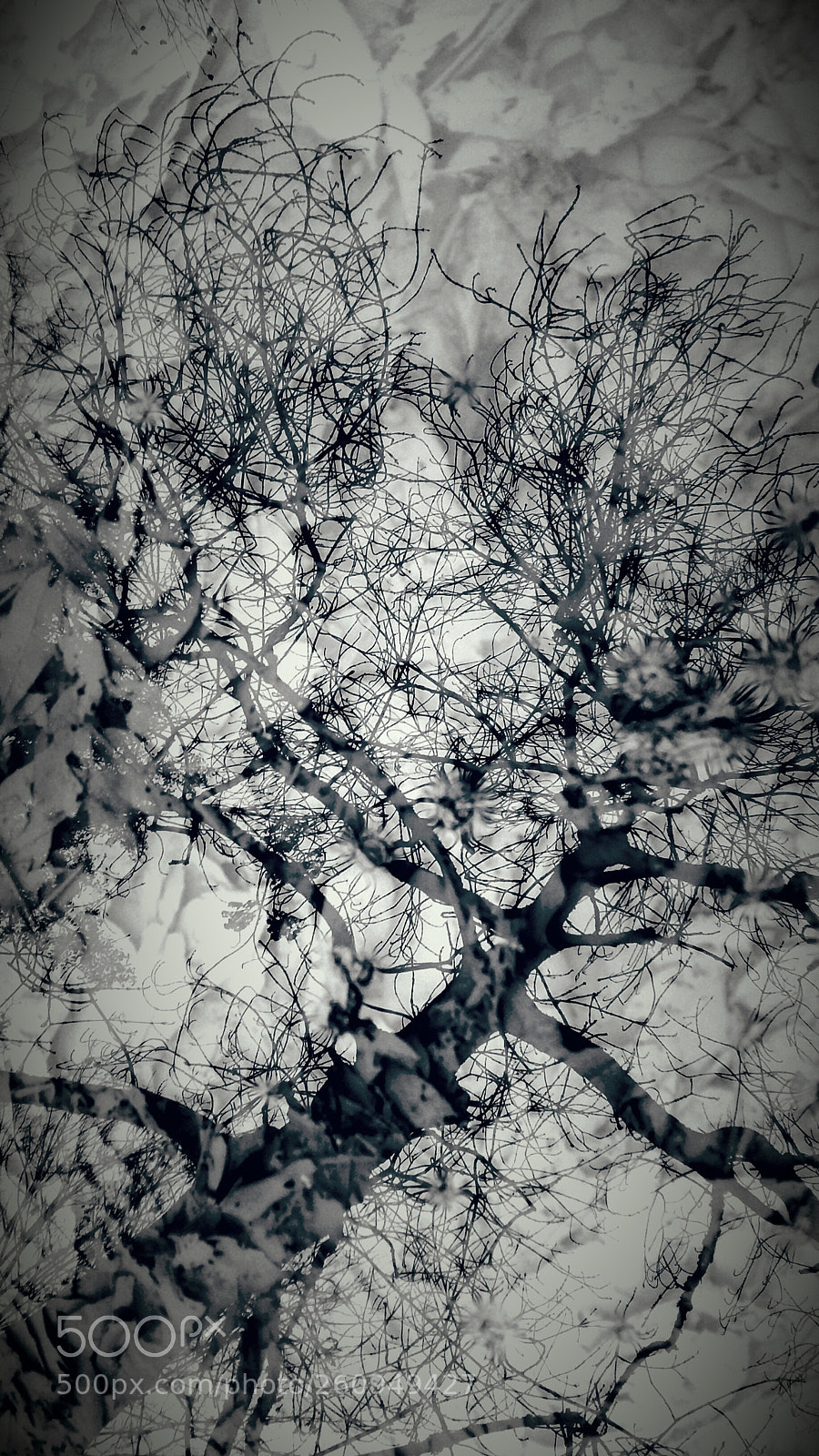 Samsung Galaxy A5 sample photo. Reflection in a puddle photography