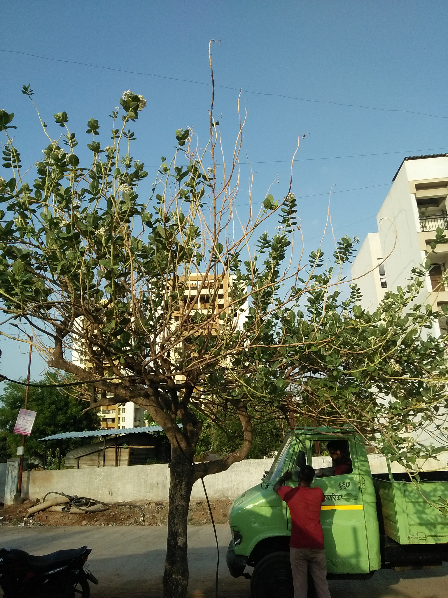 OPPO A37fw-International sample photo