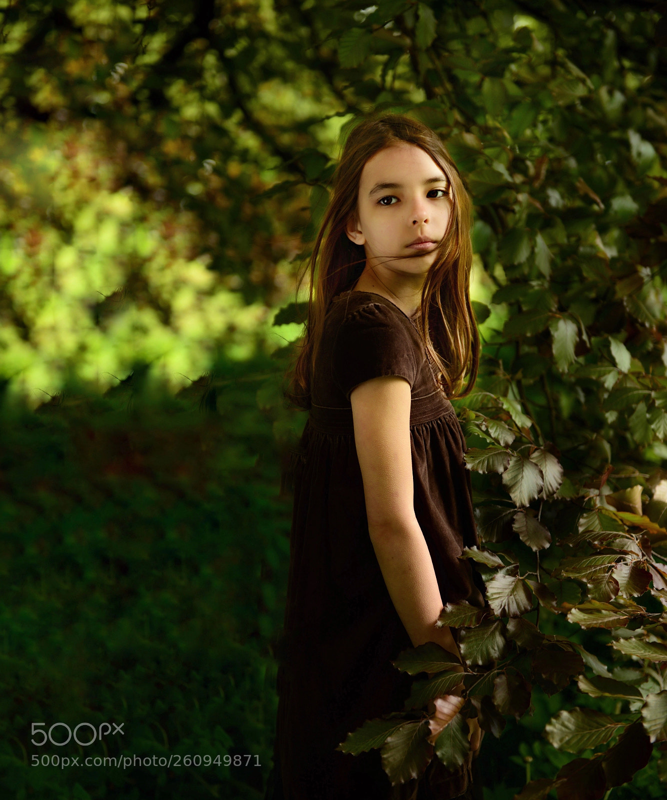 Nikon D800 sample photo. Untitled photography