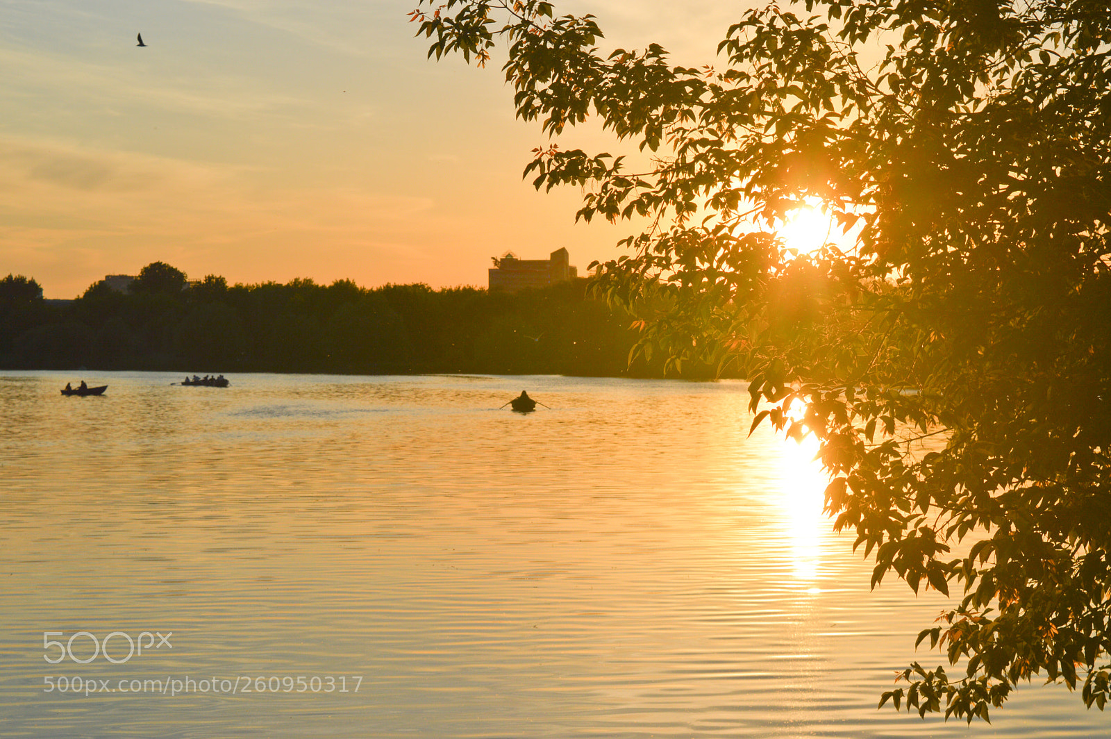 Nikon D3200 sample photo. Untitled photography