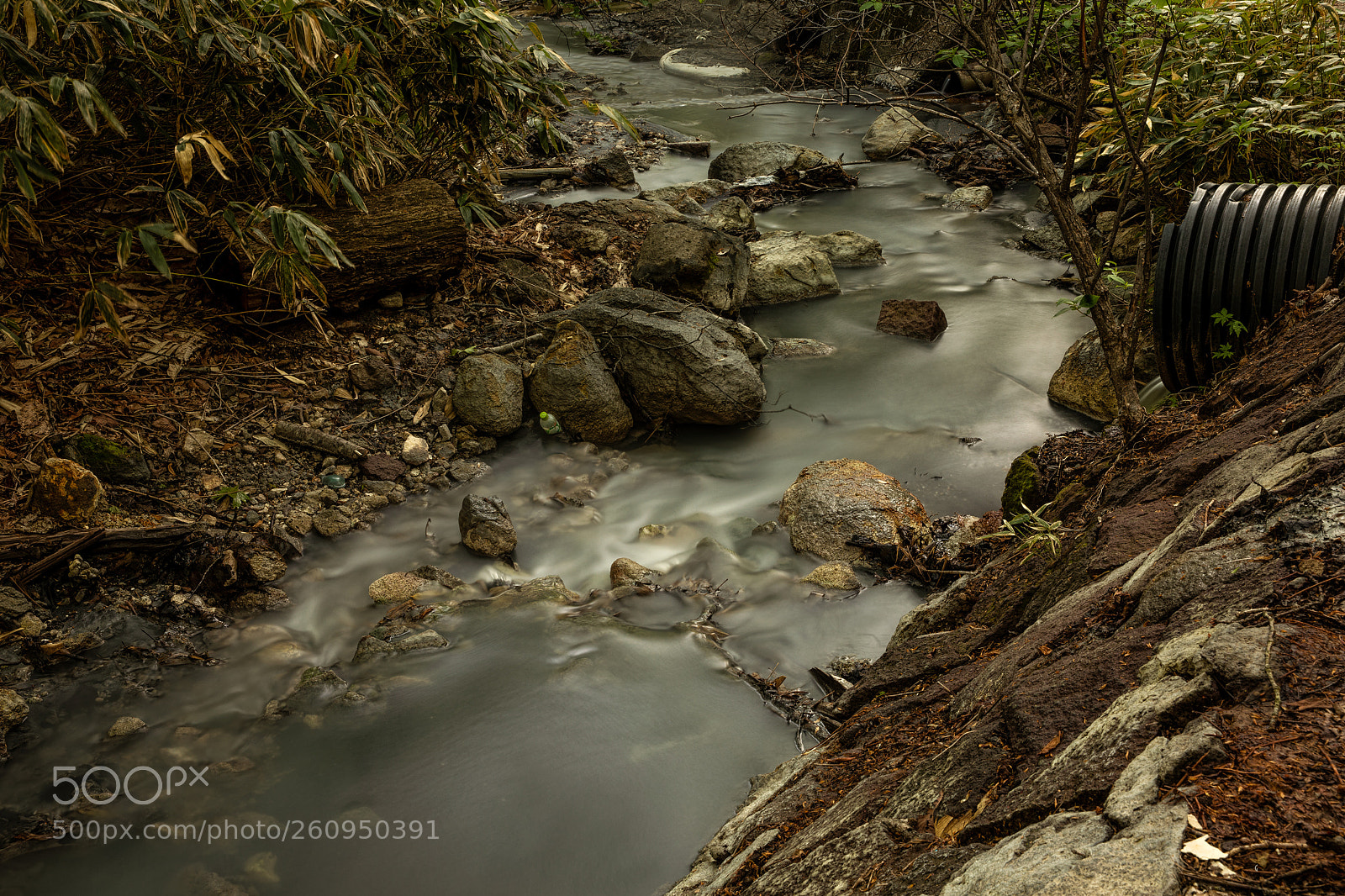 Canon EOS 5D Mark IV sample photo. Prelude to the onsen photography