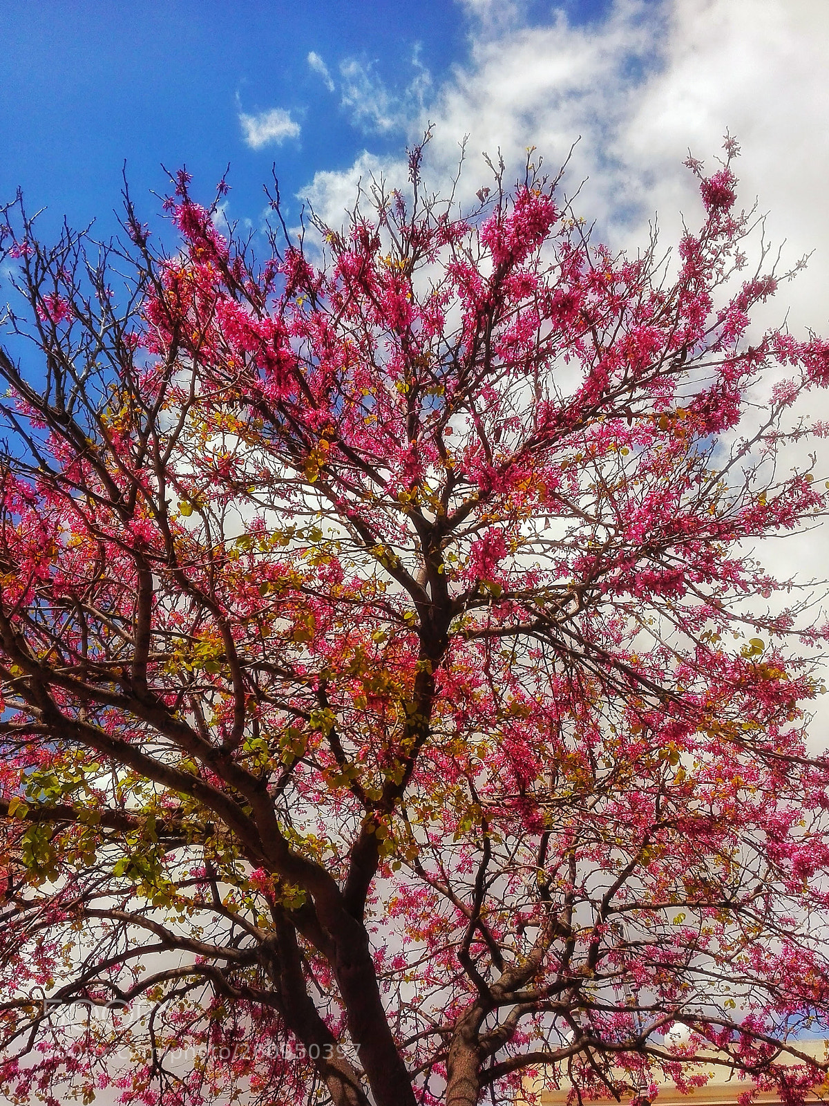 HUAWEI P8 Lite sample photo. Untitled photography