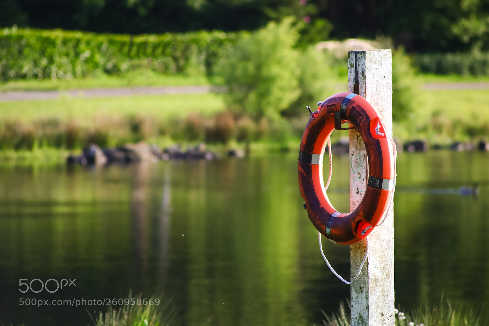 Canon EOS 77D (EOS 9000D / EOS 770D) sample photo. Stay safe. photography