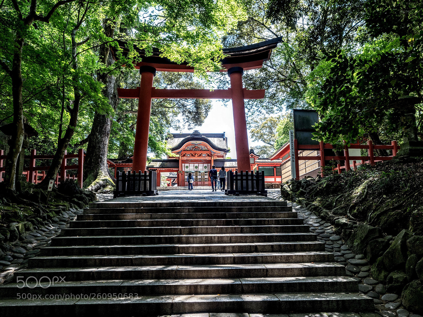 Olympus OM-D E-M1 Mark II sample photo. A shrine photography