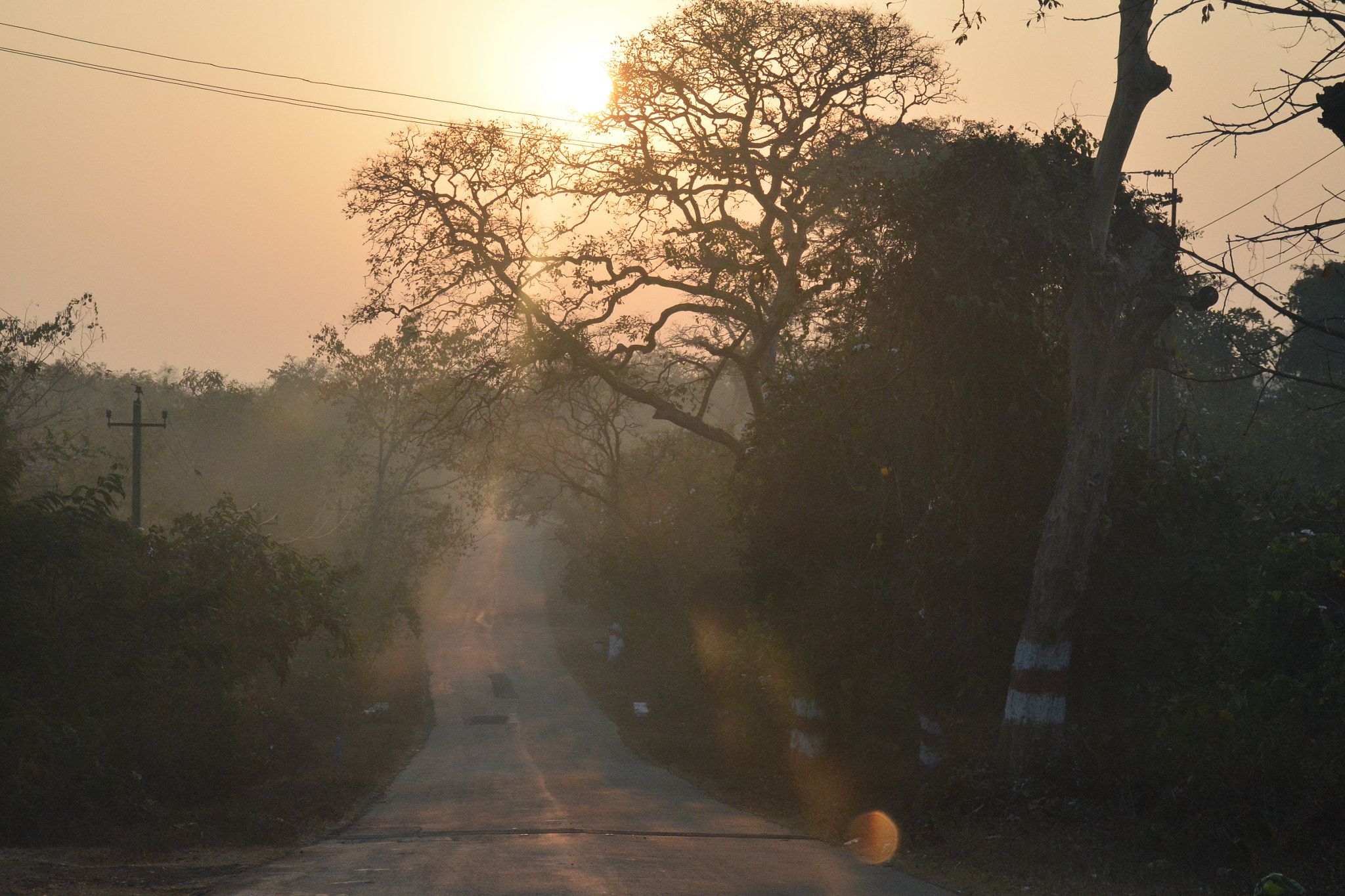 Nikon D7100 sample photo. Long way home photography