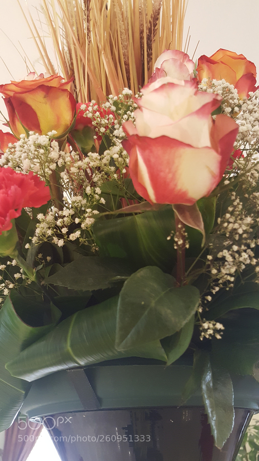 Samsung GALAXY S6 edge sample photo. Flower photography