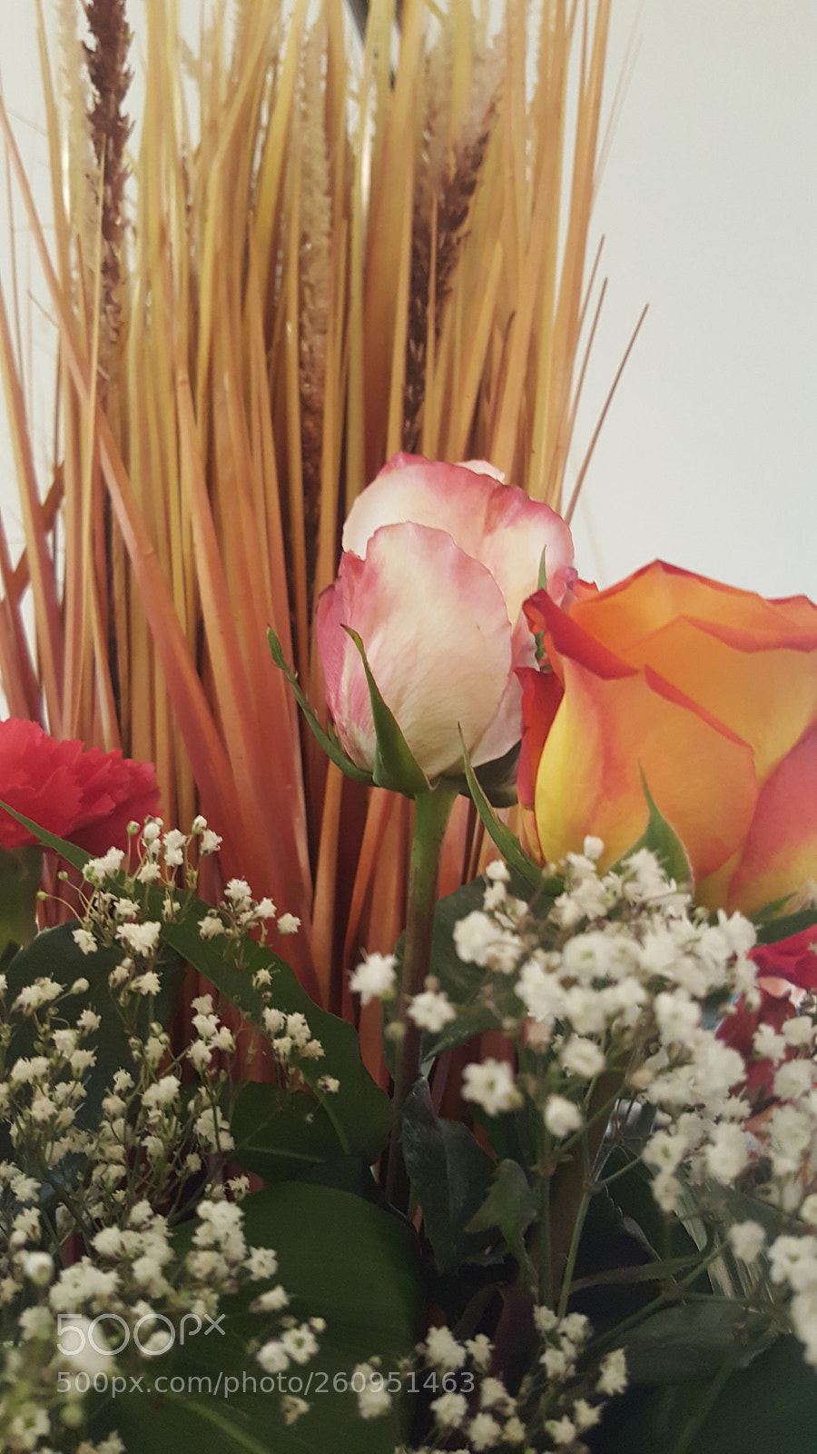 Samsung GALAXY S6 edge sample photo. Flower photography