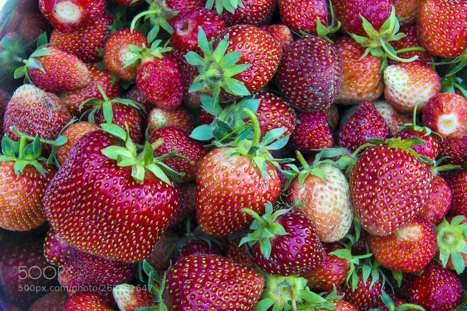 Nikon D5200 sample photo. Red strawberries - background photography