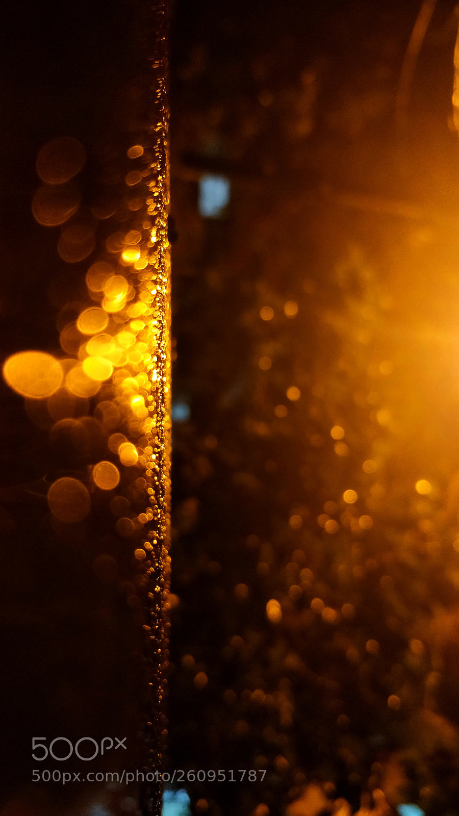 OnePlus 5 sample photo. The bokeh drops photography