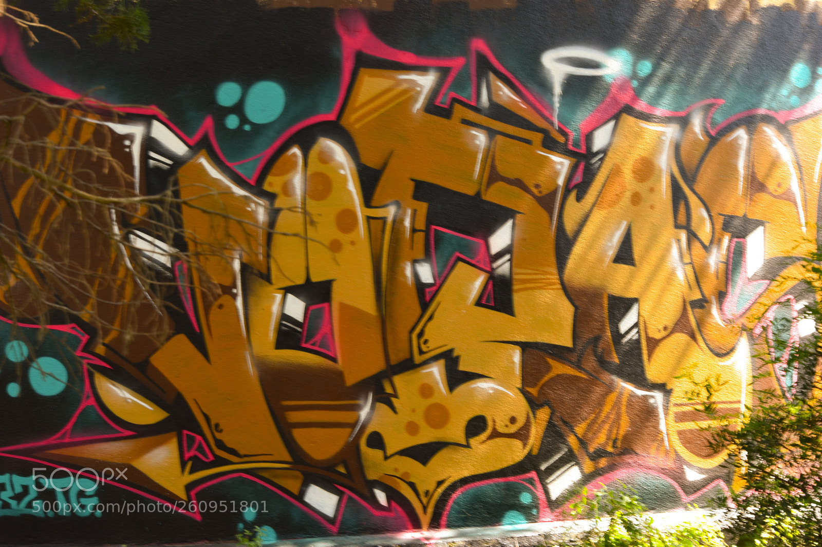 Nikon D5500 sample photo. Untitled photography
