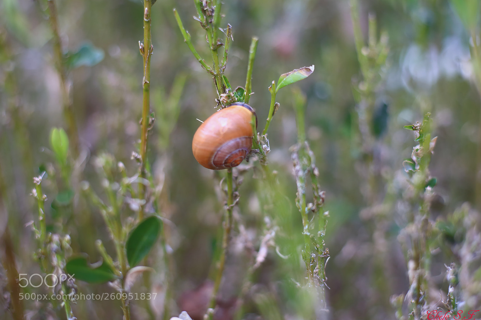 Canon EOS 6D sample photo. Untitled photography