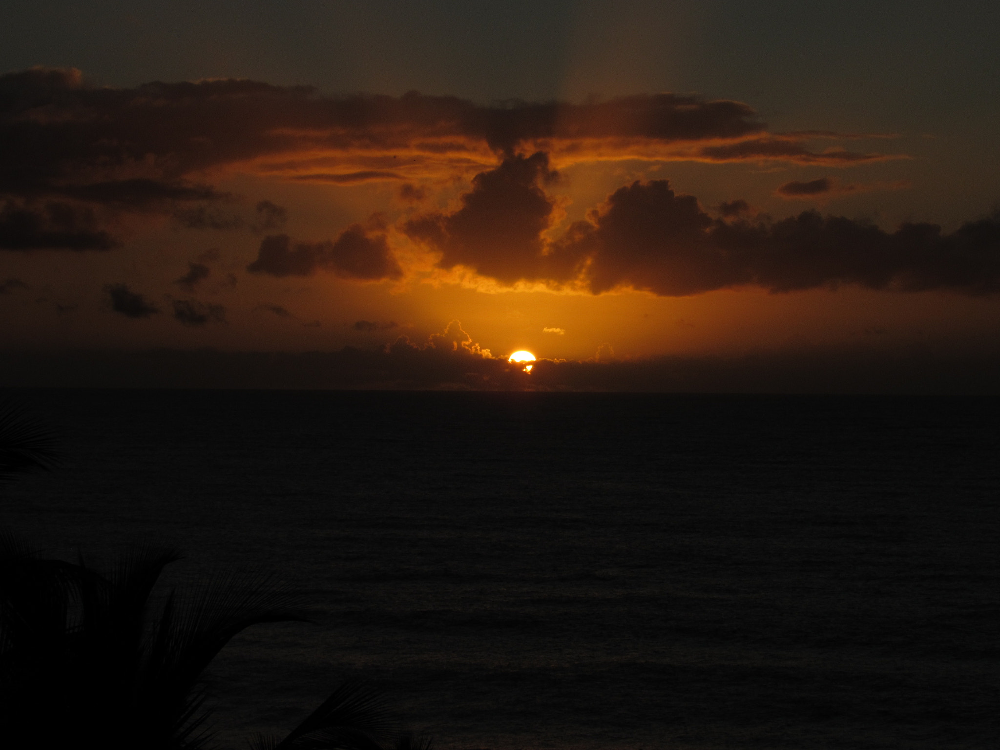 Canon PowerShot SX520 HS sample photo. A new day photography