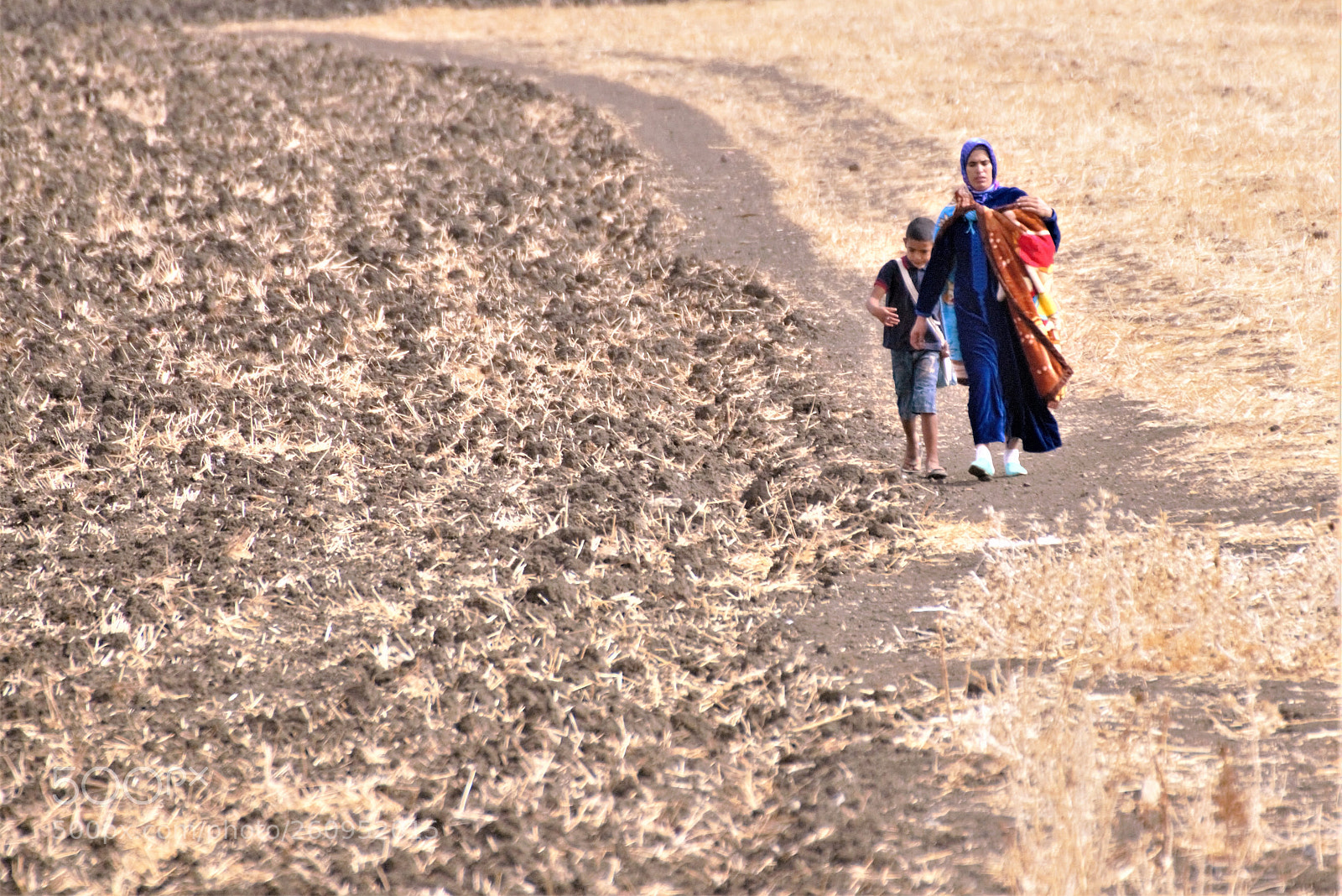 Nikon D800 sample photo. Long long way to photography