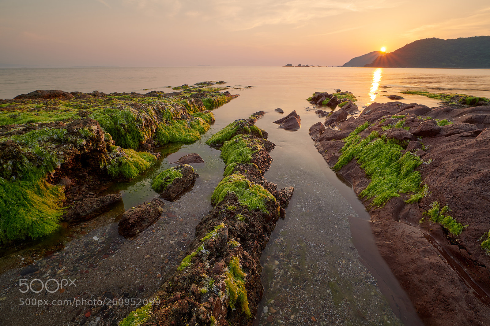 Nikon D850 sample photo. . photography