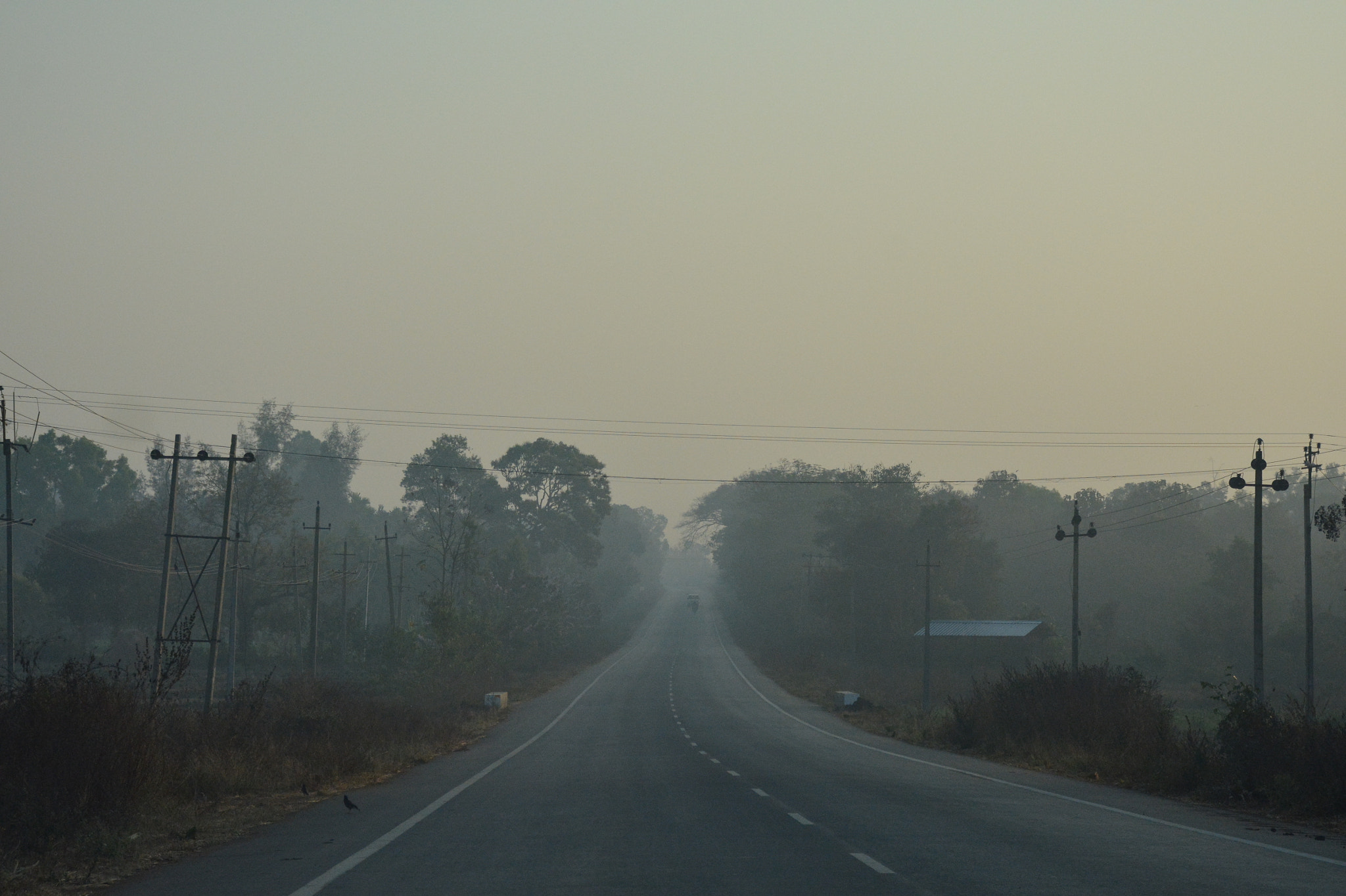 Nikon D7100 sample photo. Road less travelled photography