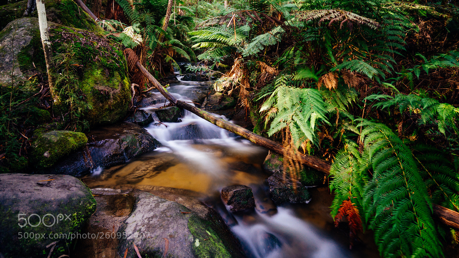 Sony a7R II sample photo. Untitled photography
