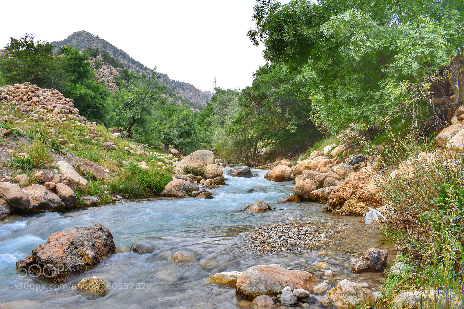 Nikon D3400 sample photo. Ana_0045-01.jpeg photography