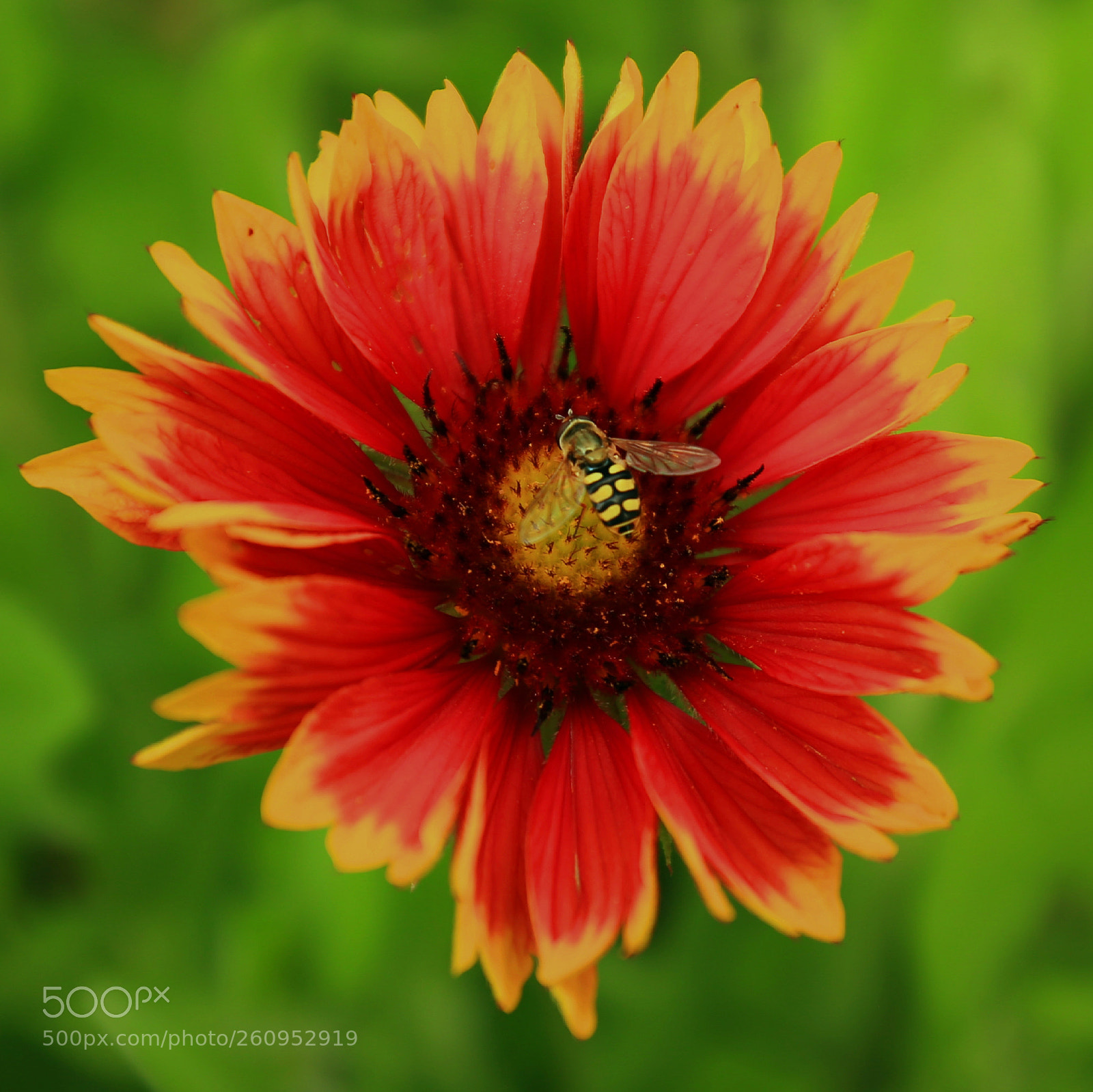 Canon EOS 6D sample photo. Untitled photography