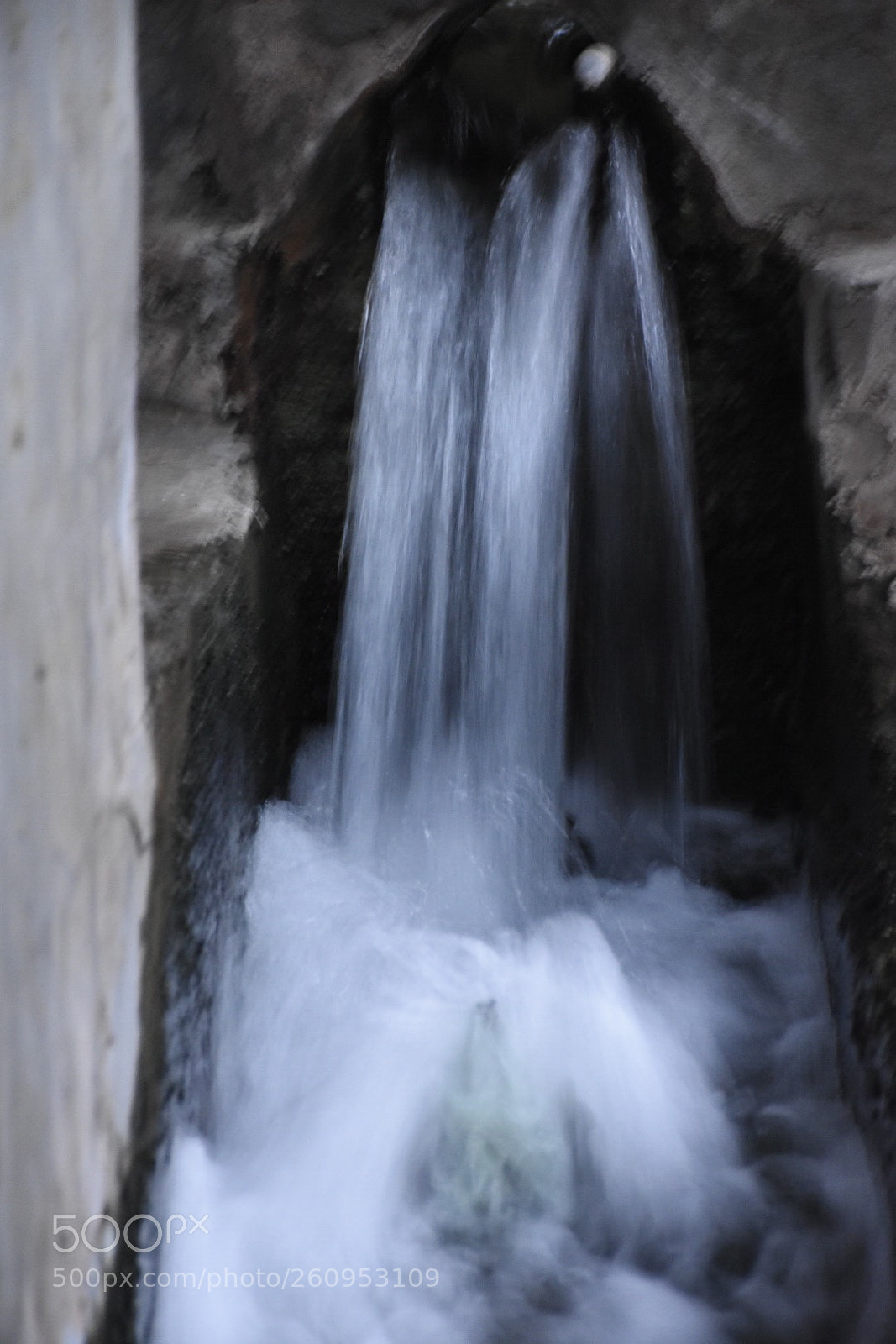Nikon D7200 sample photo. Untitled photography