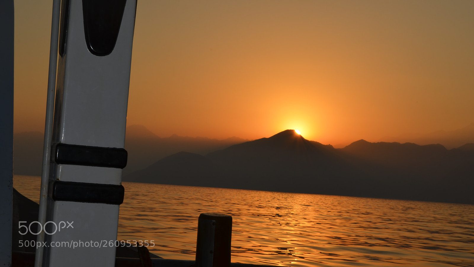 Nikon D5100 sample photo. Untitled photography