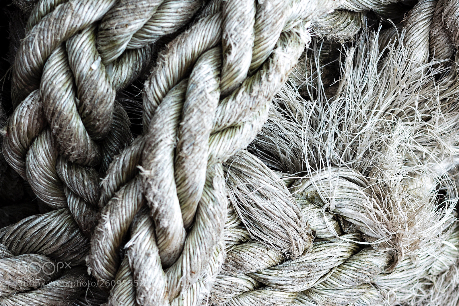 Canon EOS 6D Mark II sample photo. The rope photography