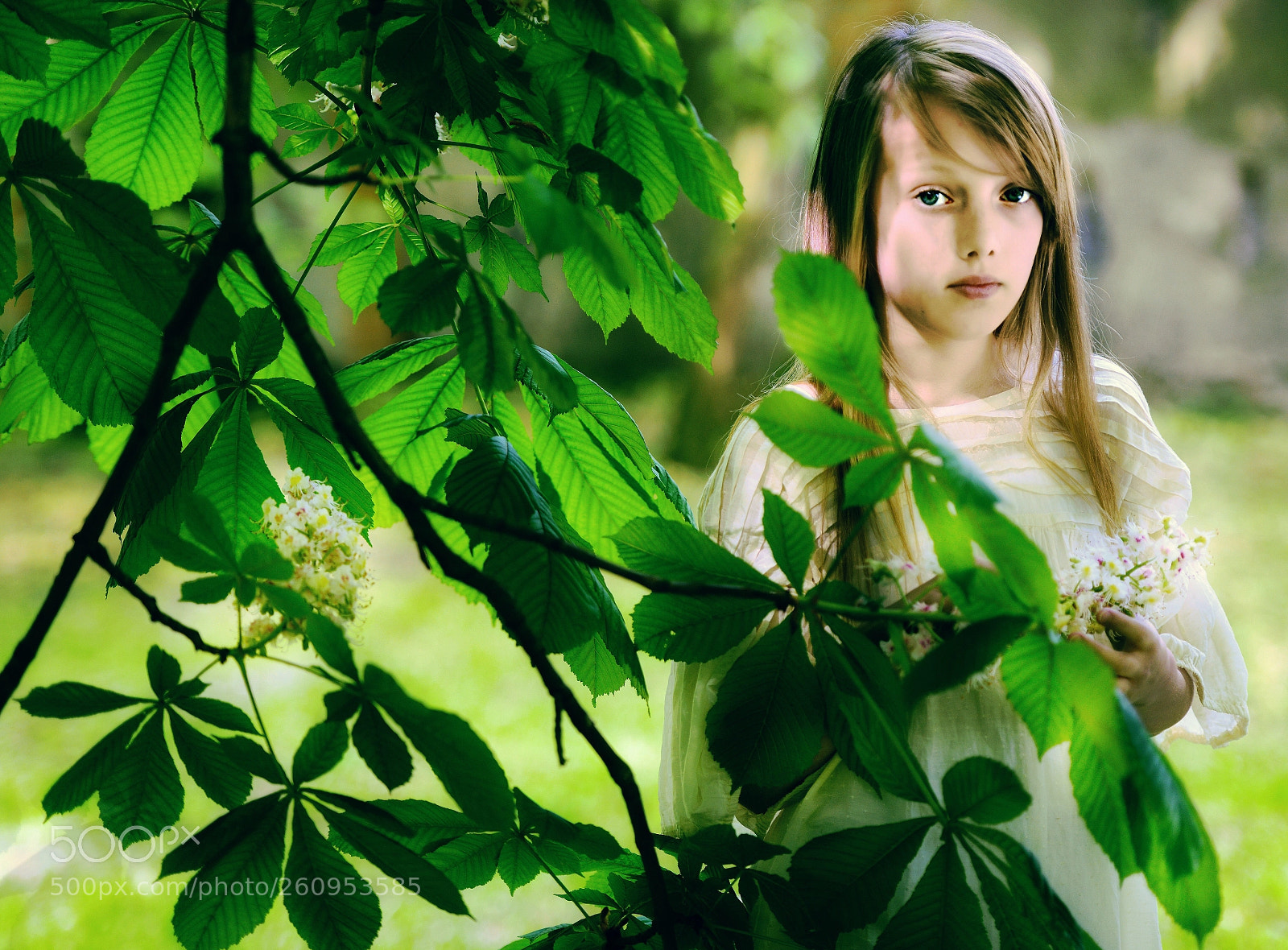 Nikon D800 sample photo. Untitled photography