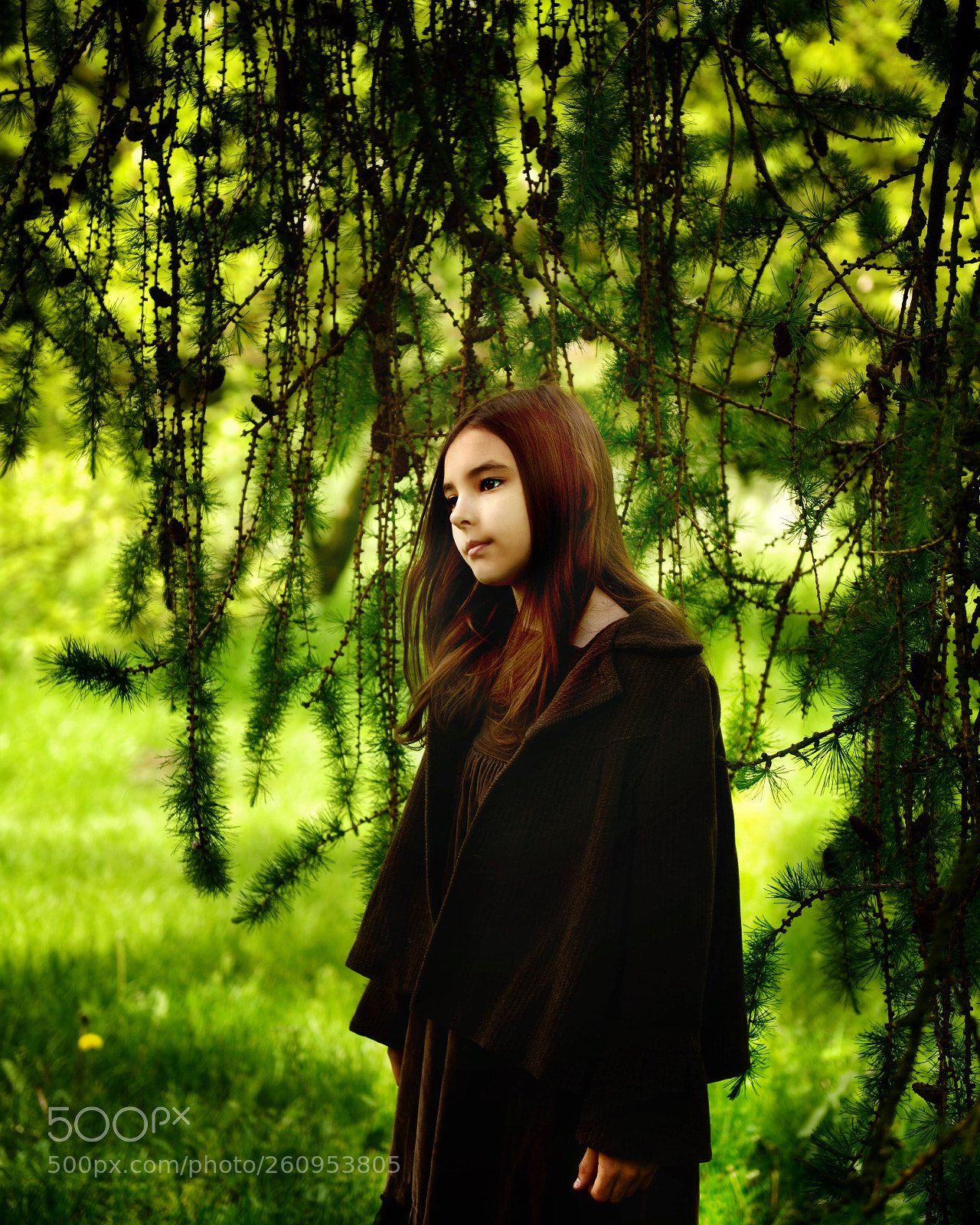 Nikon D800 sample photo. Untitled photography