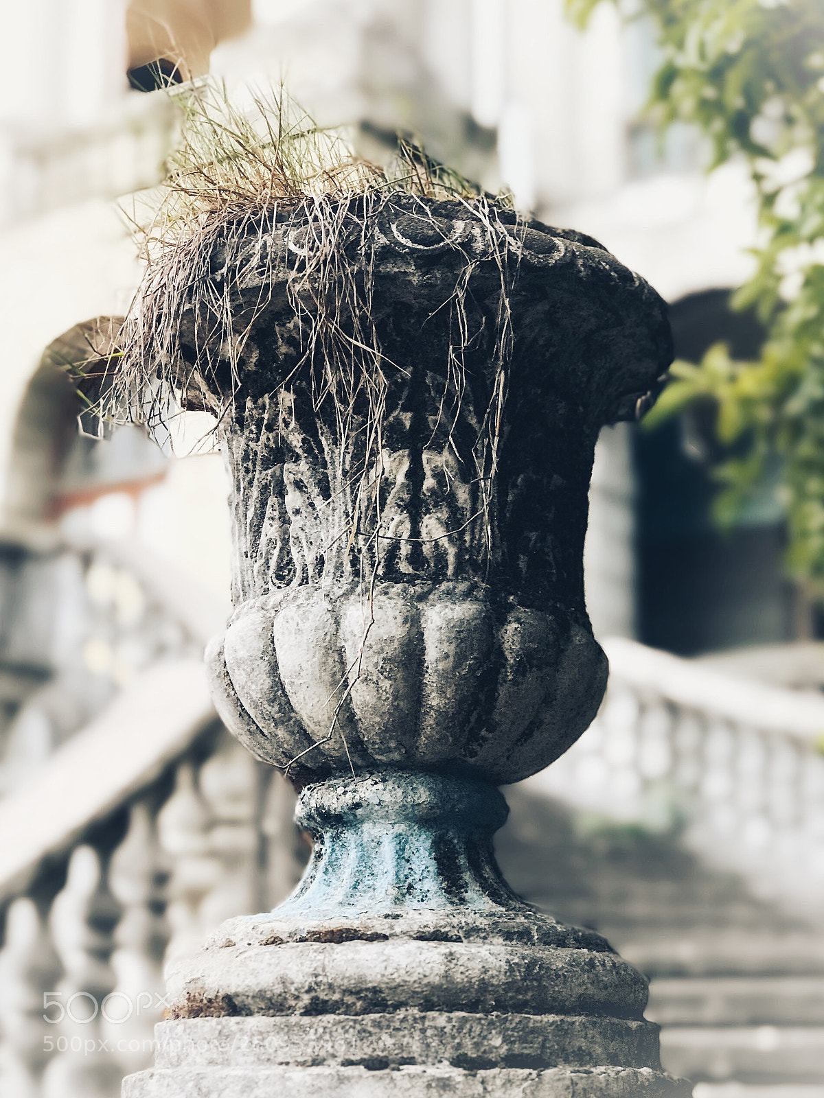 Apple iPhone 7 Plus sample photo. Untitled photography