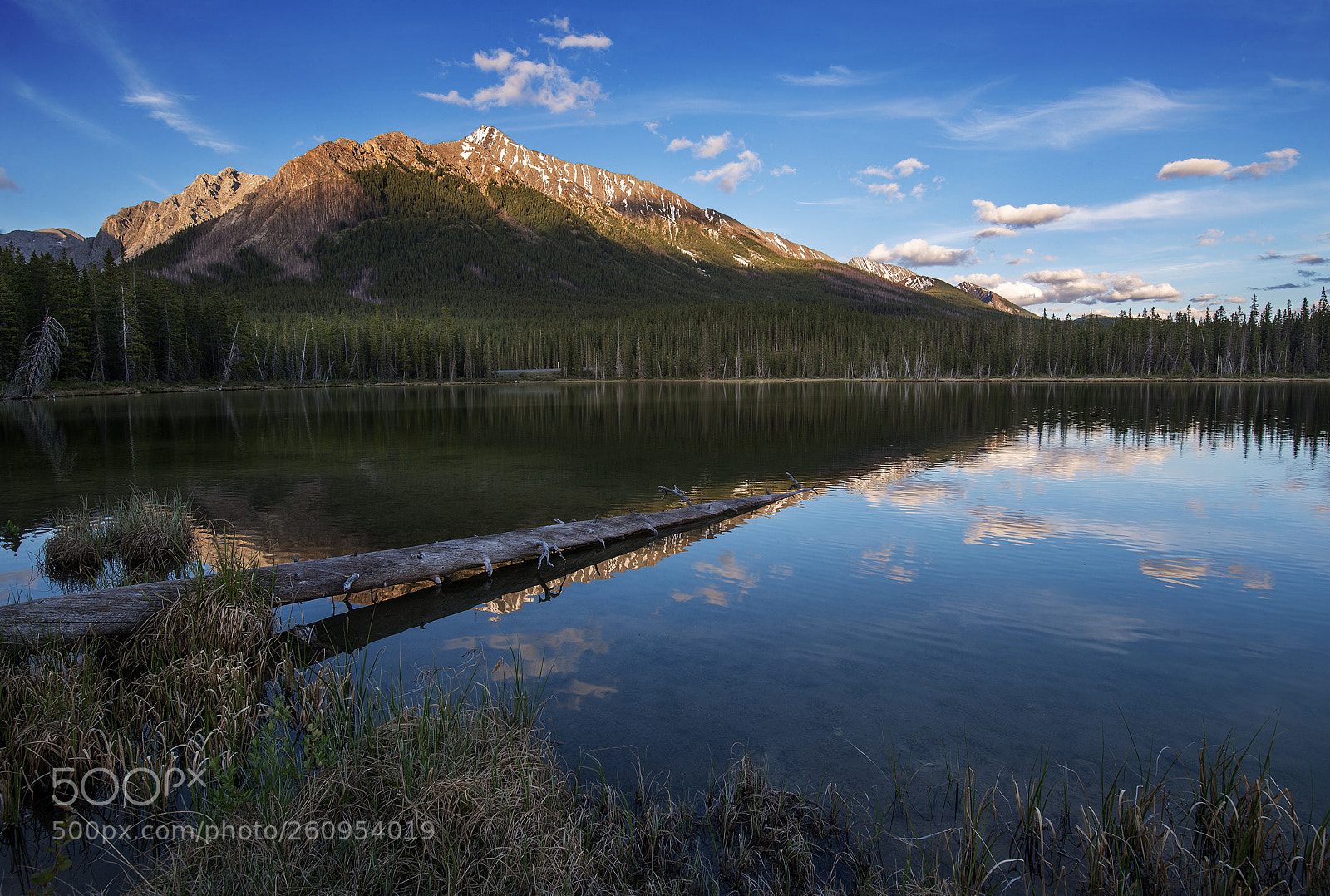 Nikon D600 sample photo. Last light ii photography