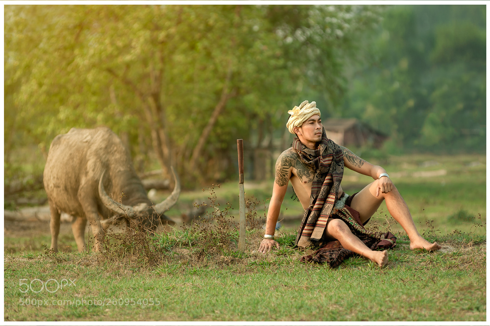 Nikon D700 sample photo. Sitting on green photography