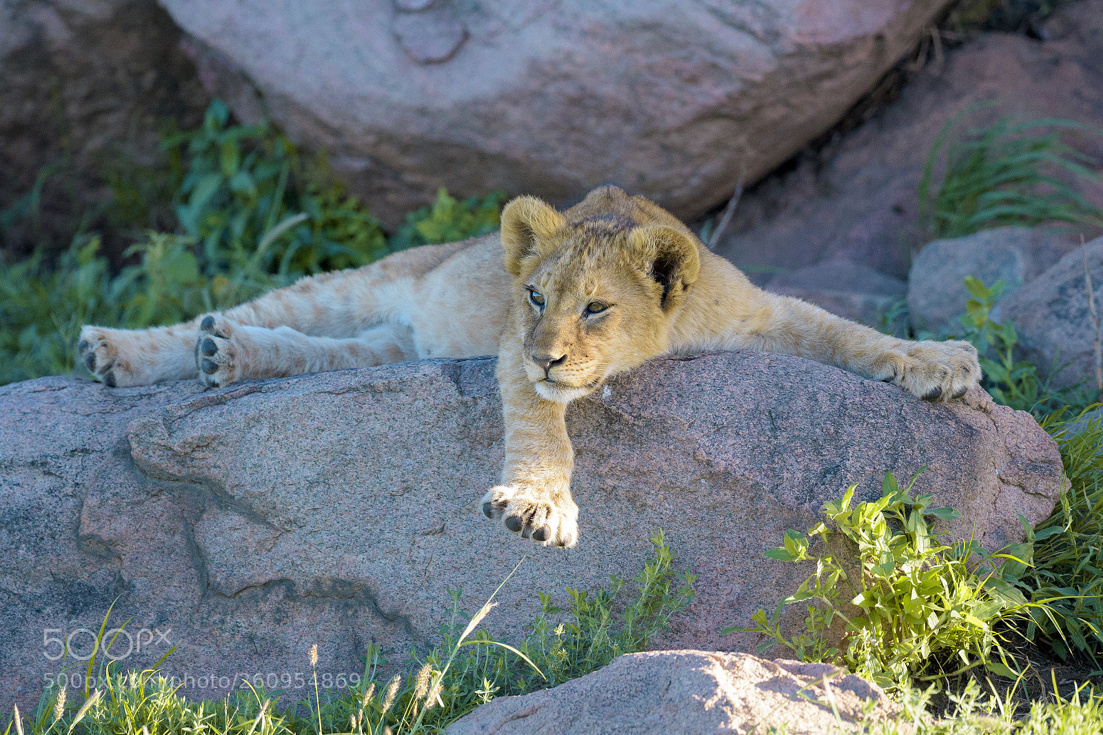 Nikon D810 sample photo. Untitled photography