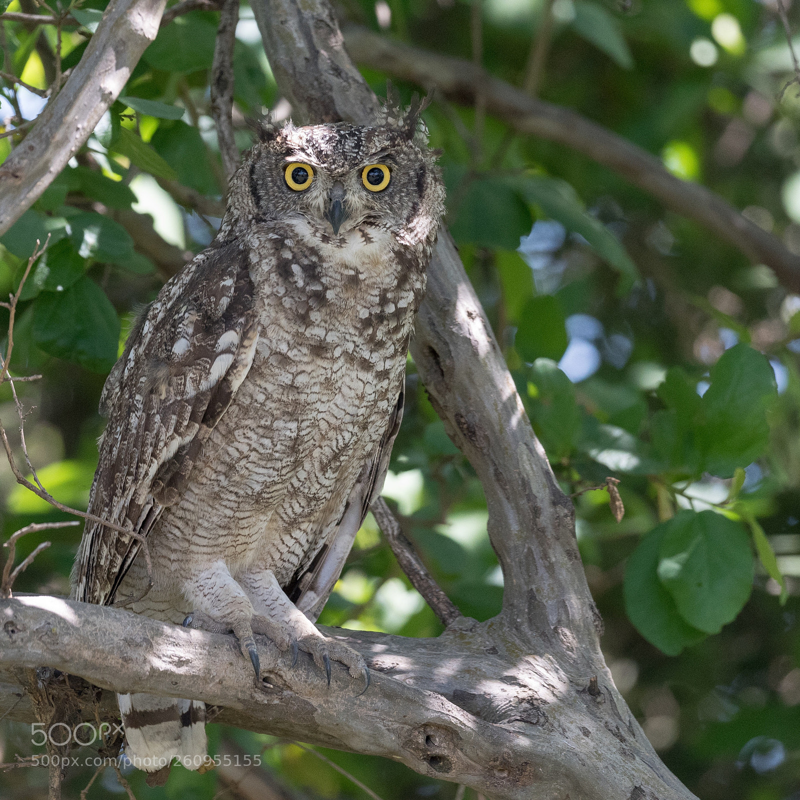 Nikon D810 sample photo. Untitled photography