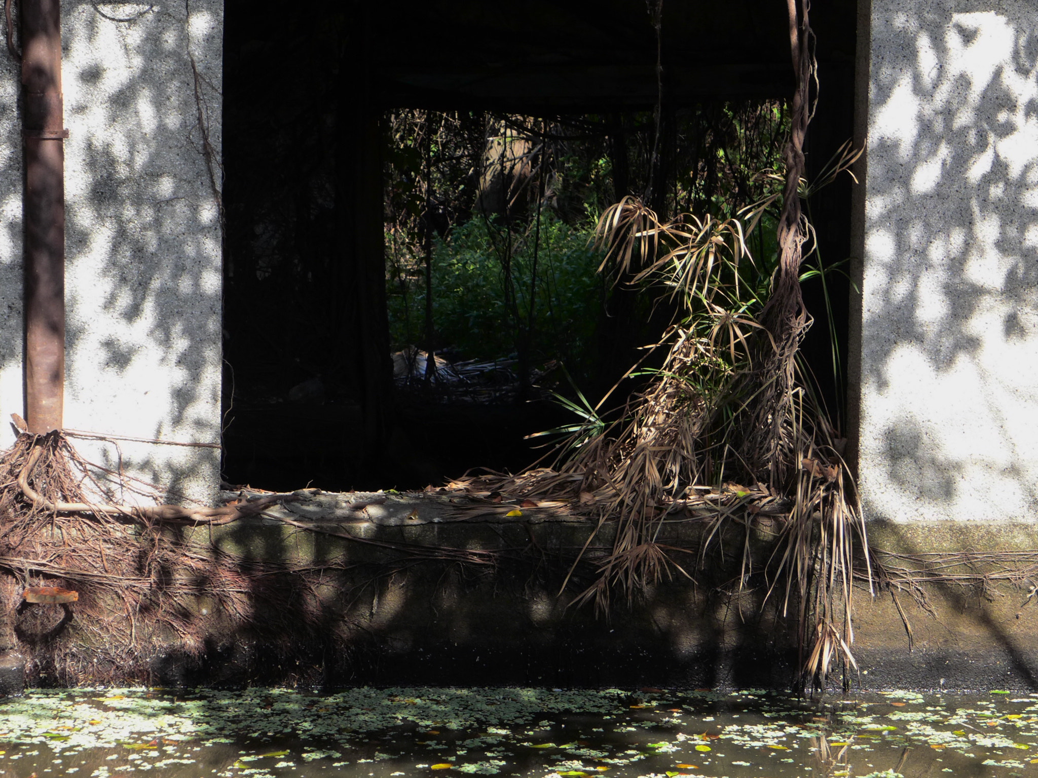 Leica D-Lux 6 sample photo. Shadows in the ruins photography