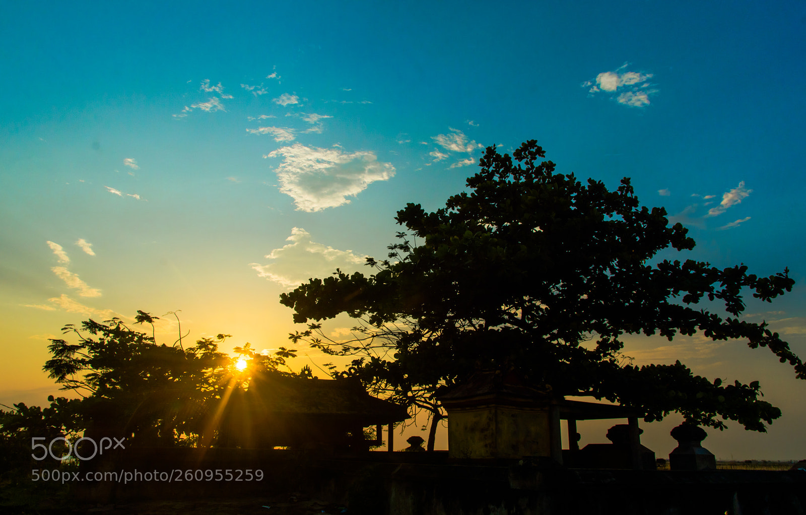 Nikon D3200 sample photo. Bóng chiều photography