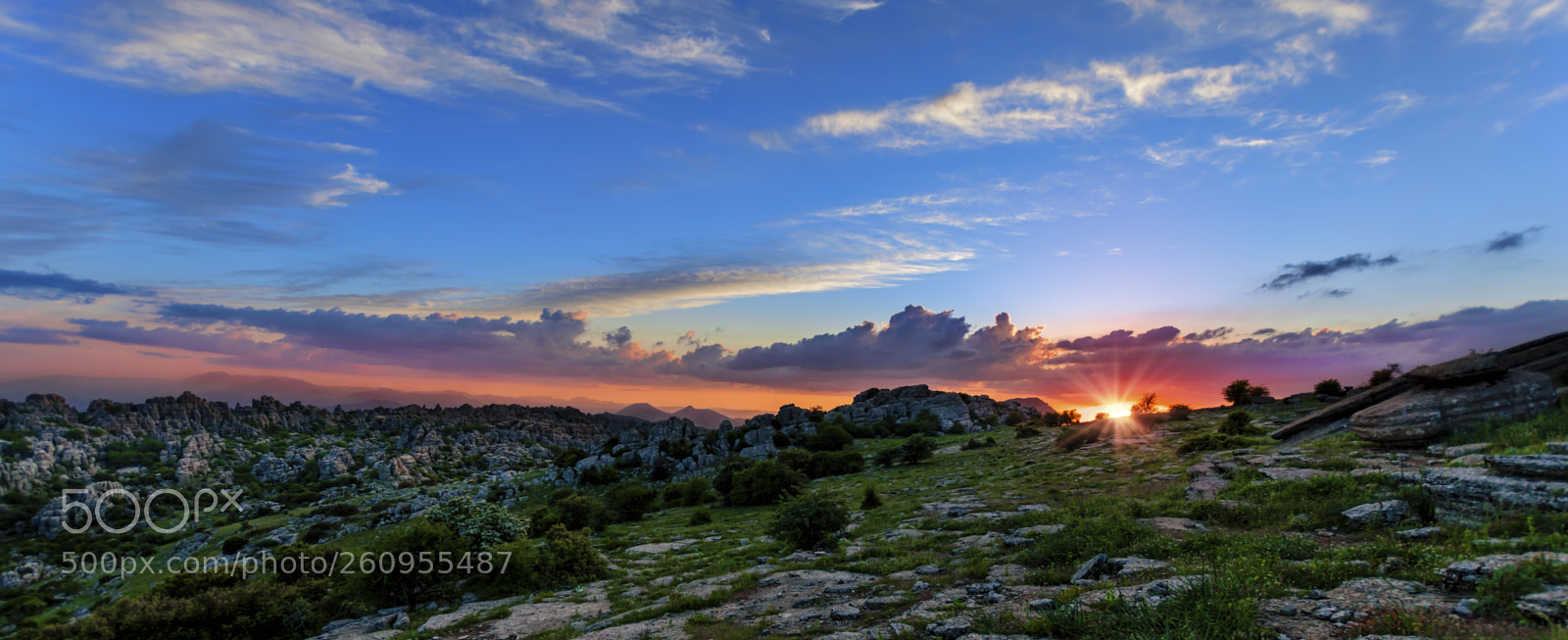 Nikon D5500 sample photo. Malaga, andalucia photography