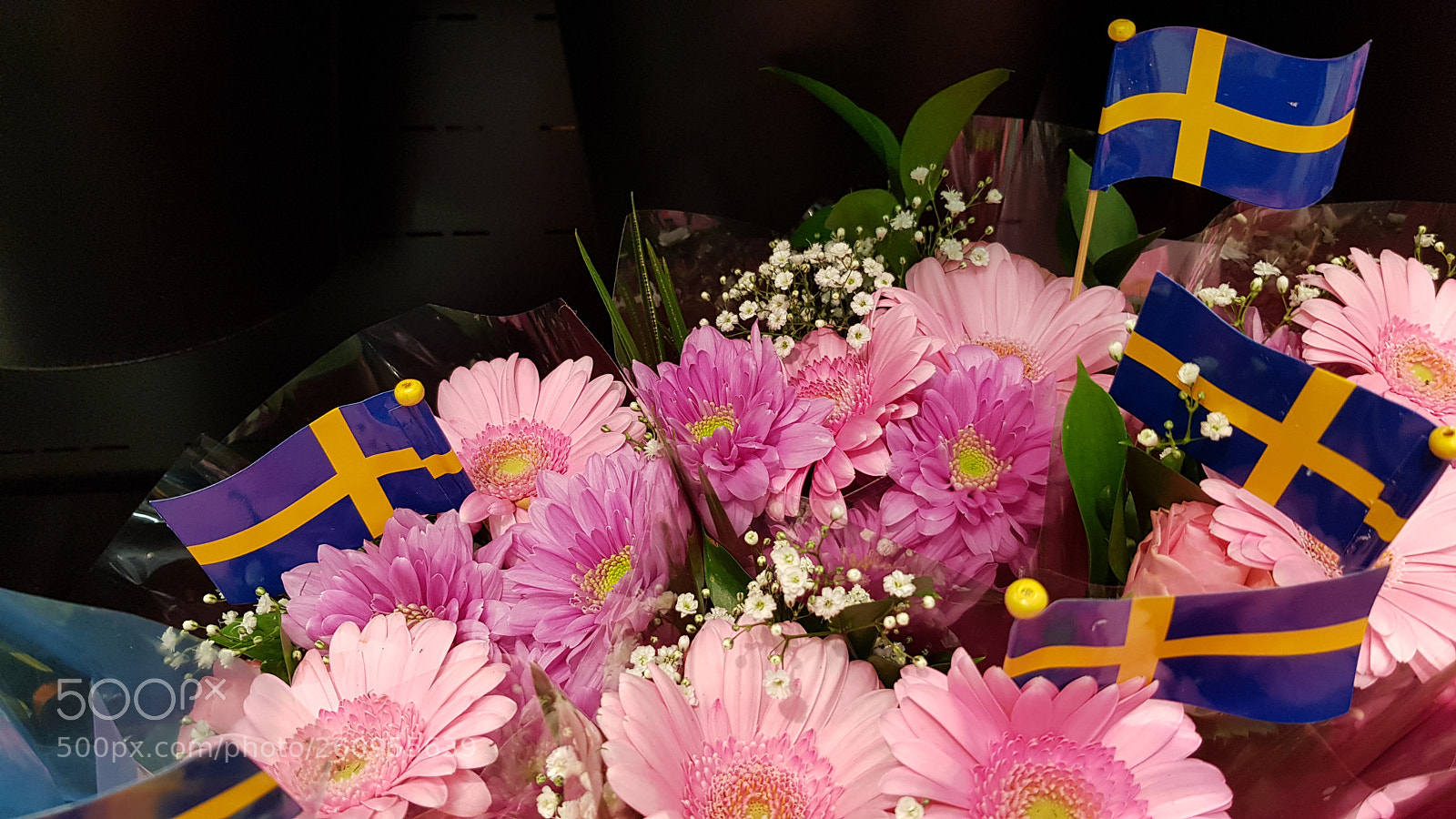 Samsung Galaxy S8 sample photo. A buch of swedish photography
