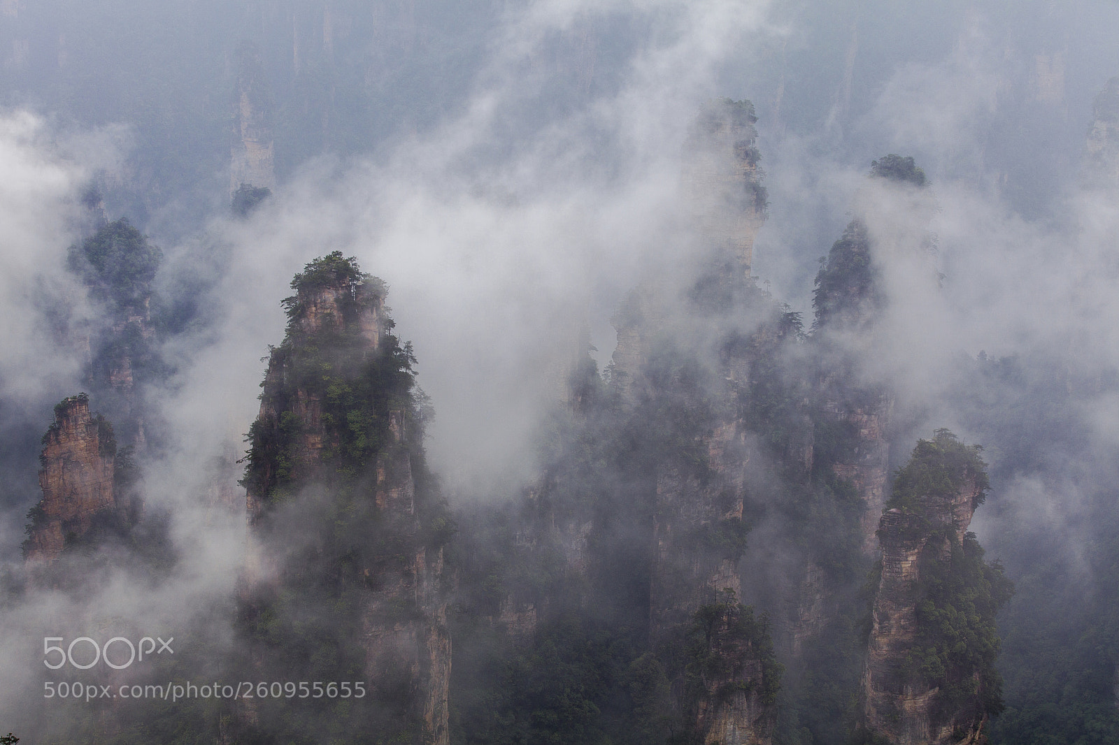 Canon EOS 5D Mark II sample photo. Misty - 薄雾 photography