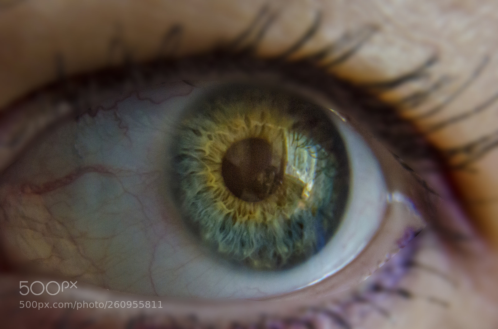 Nikon D7000 sample photo. Eye photography