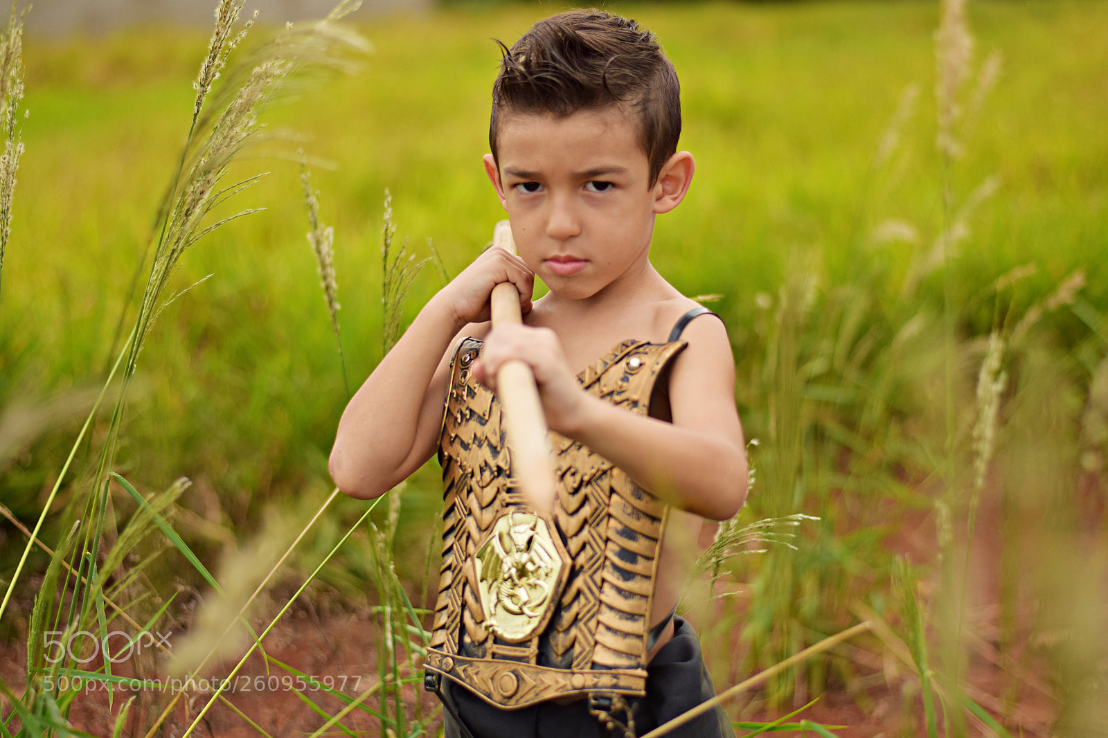 Nikon D5300 sample photo. Little gladiator photography