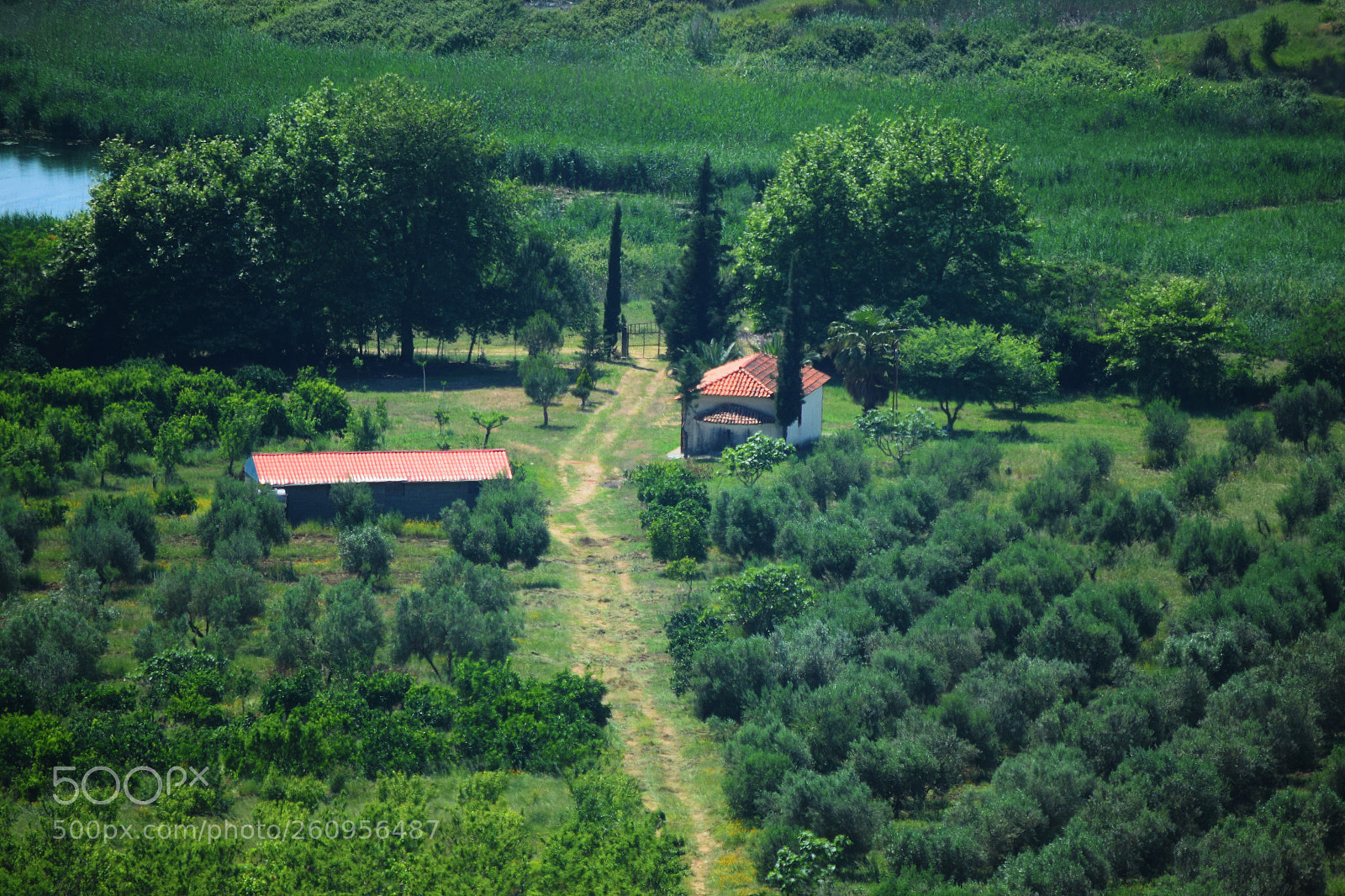 Nikon D5300 sample photo. Small farm in albania photography