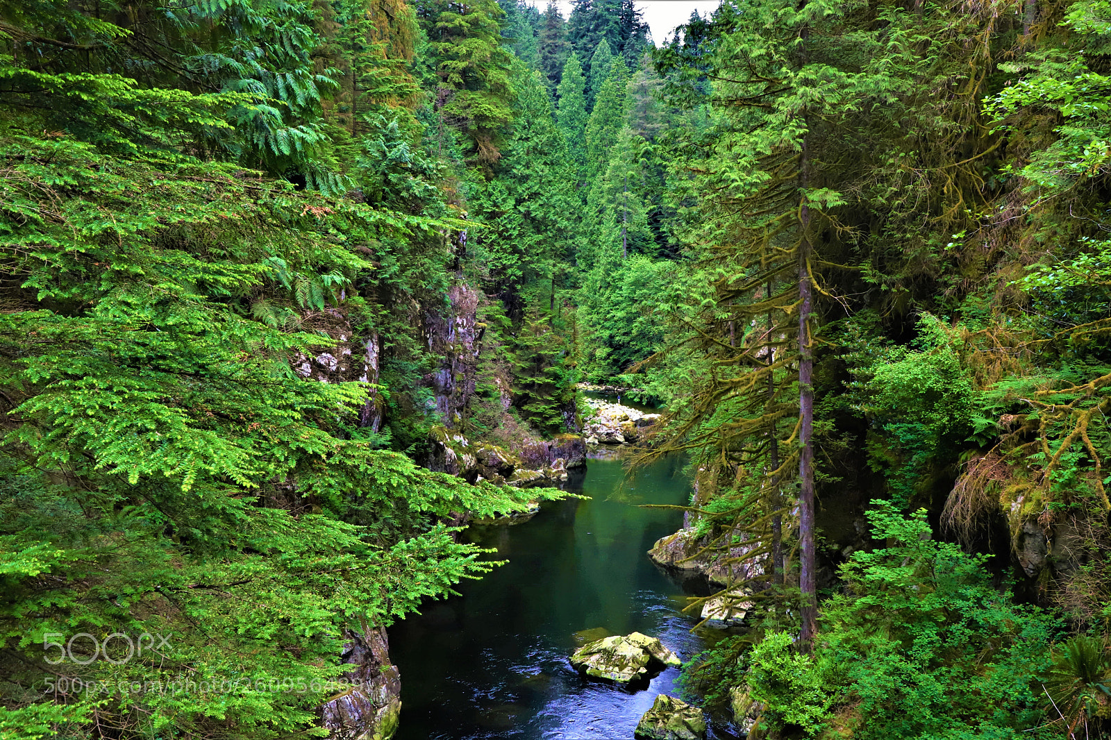 Canon EOS 6D Mark II sample photo. Mountain in vancouver -- 北温哥华 photography