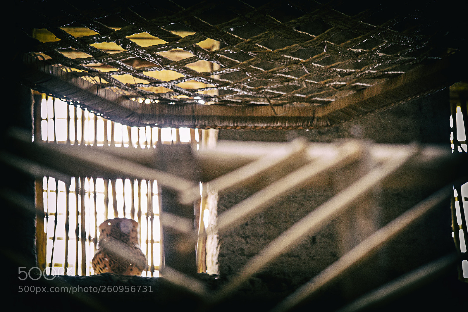 Canon EOS 6D sample photo. El kasr 16 photography