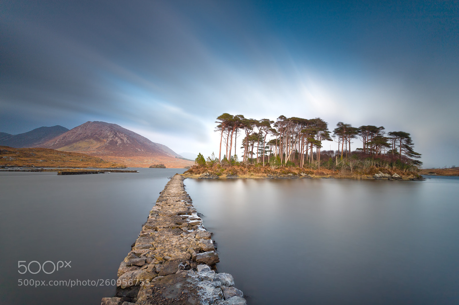 Canon EOS 6D Mark II sample photo. Pine island, connemara photography