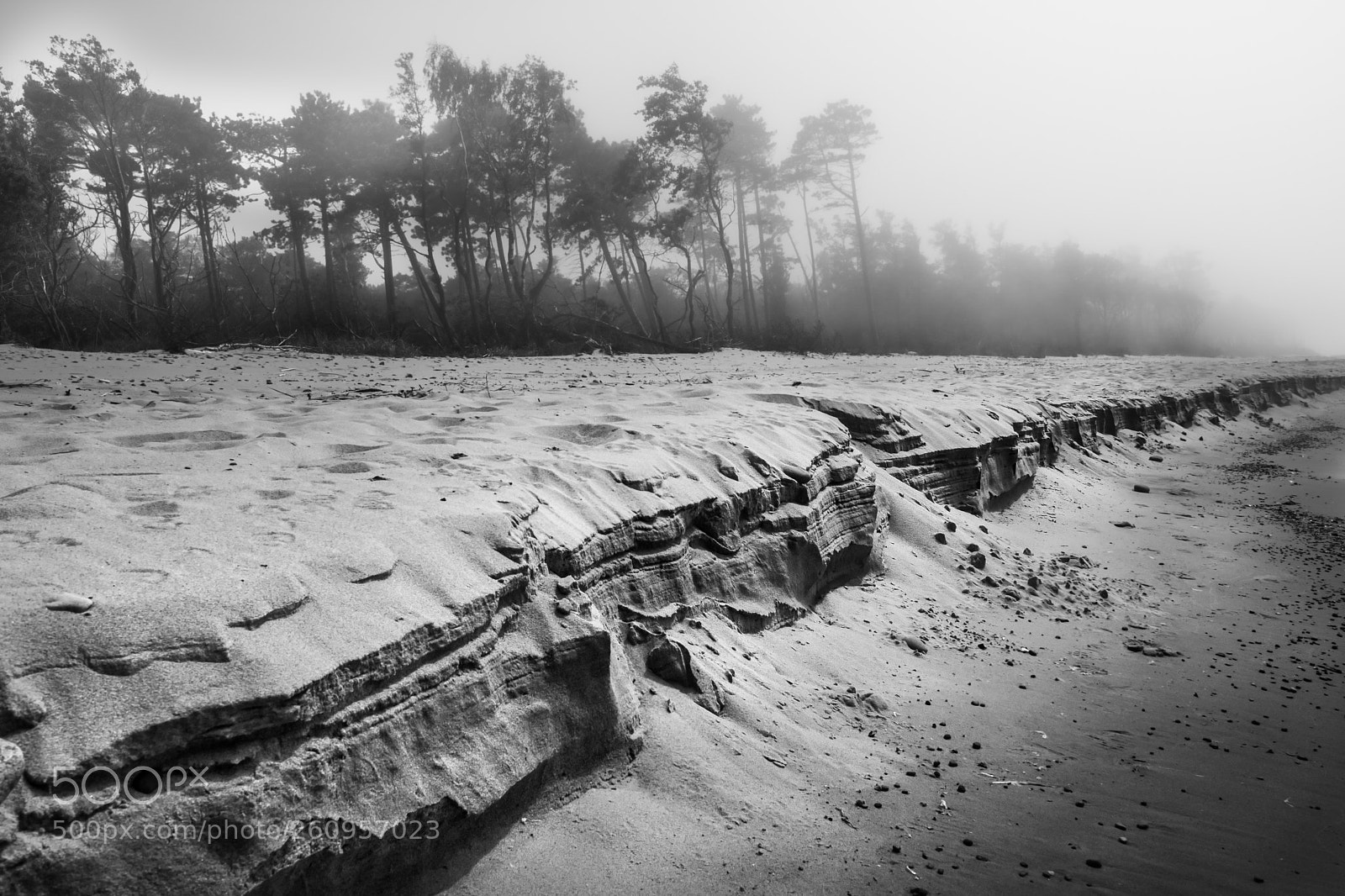 Fujifilm X-T2 sample photo. Another foggy day photography
