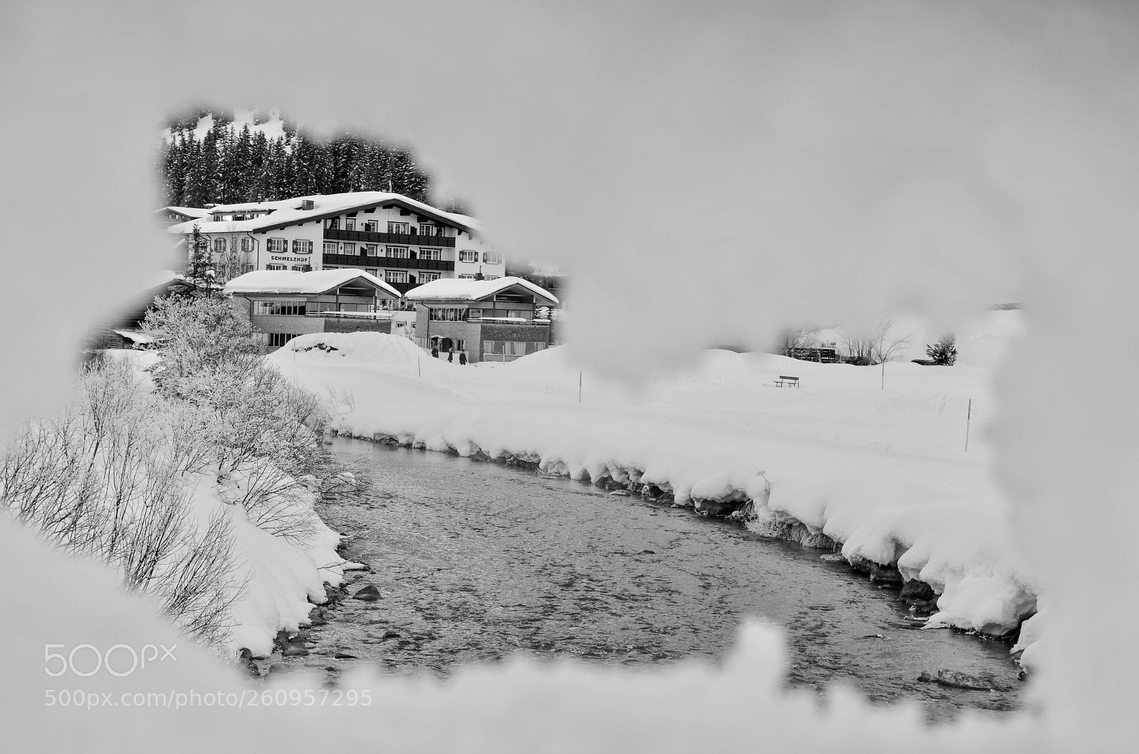 Nikon D5100 sample photo. A peak through snow photography