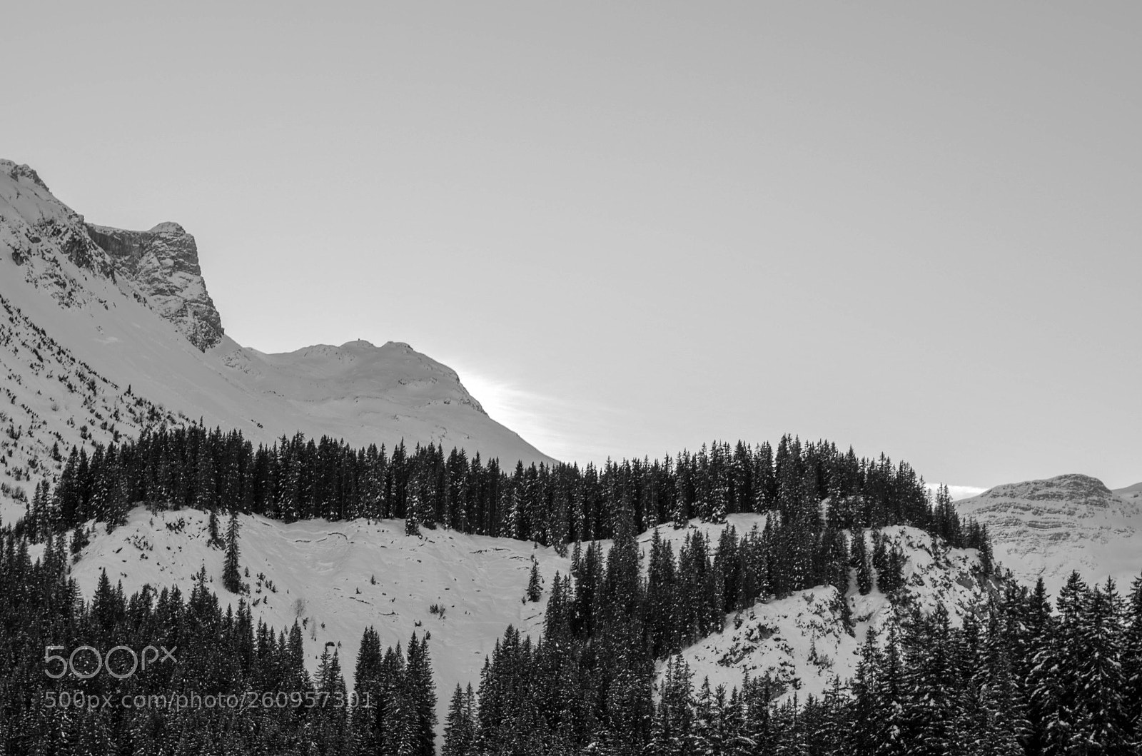 Nikon D5100 sample photo. Austrian alps photography