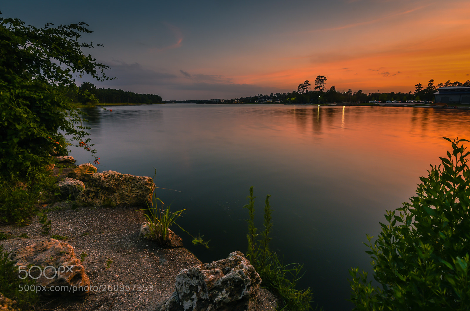Nikon D750 sample photo. Lake woodlands summer sunset photography