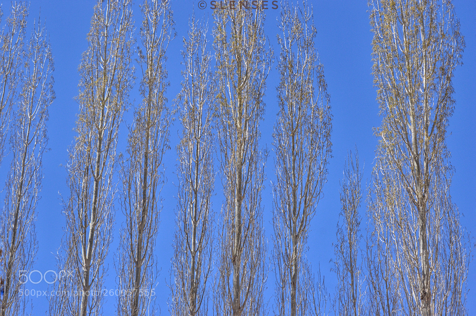Nikon D3200 sample photo. #worldenvironmentday photography