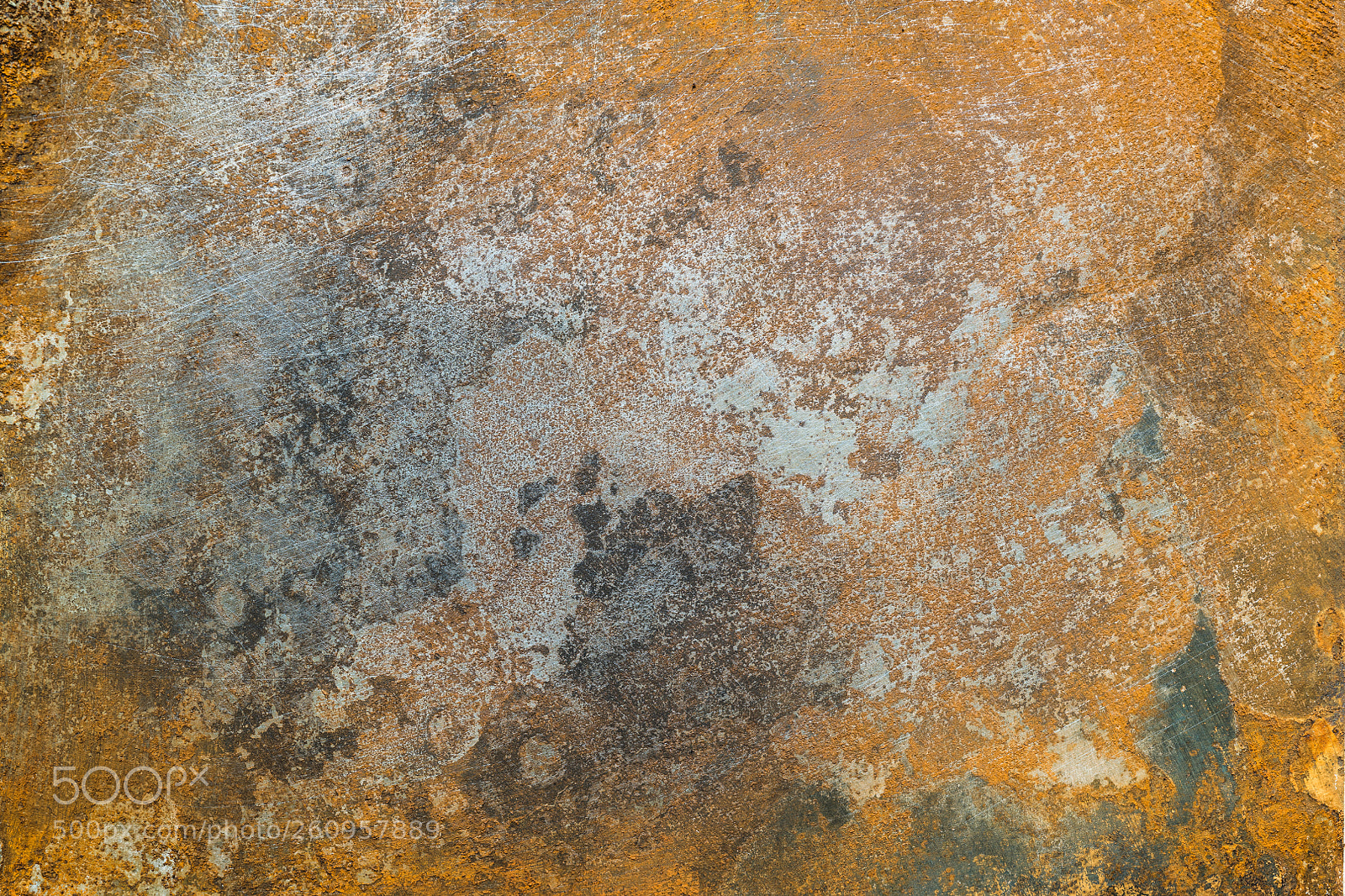 Nikon D850 sample photo. Textured metal surface with photography